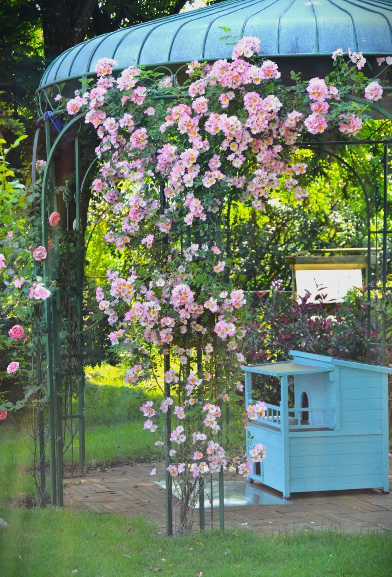 Au Temps Suspendu Bed & Breakfast Champagney ภายนอก รูปภาพ